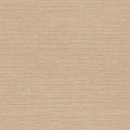 Lignes 40506