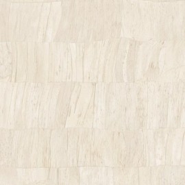 Capas 34301