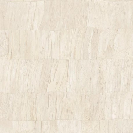 Capas 34301