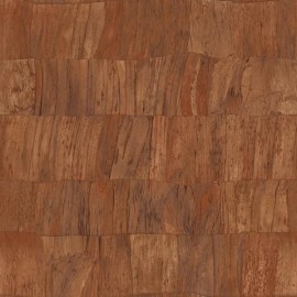 Capas 34302