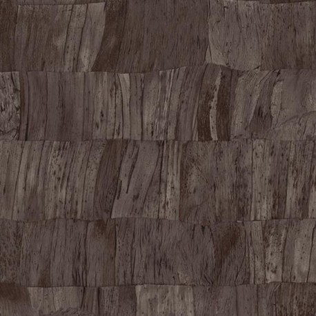 Capas 34303