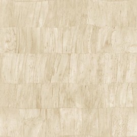 Capas 34306