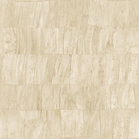 Capas 34306