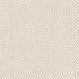 Damier 12061